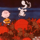 Illustration for article titled Food for It's The Great Pumpkin, Charlie Brown